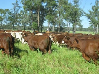 Click to view all images - SCOTTLAND DOWNS Goondiwindi QLD 4390 - Image 2