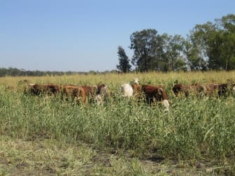 Click to view all images - "Minima South" Goondiwindi QLD 4390 - Image 3