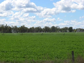 Click to view all images - JABIRU Inglewood QLD 4387 - Image 1