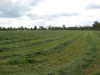 Click to view all images - JABIRU Inglewood QLD 4387 - Image 3