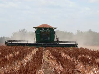 Click to view all images - STRATHOBAN Toobeah QLD 4498 - Image 1