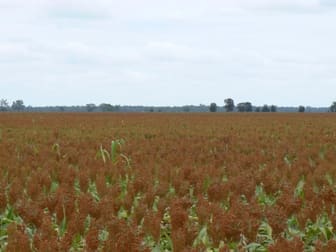 Click to view all images - STRATHOBAN Toobeah QLD 4498 - Image 3