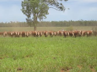 Click to view all images - ROSSMORE WESTMAR - Westmar QLD 4422 - Image 1