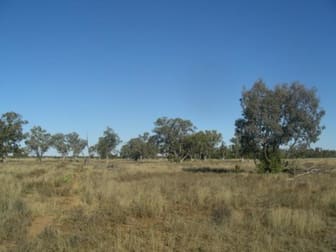 Bollon QLD 4488 - Image 2