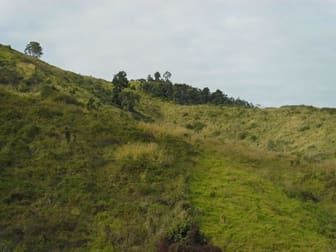 Click to view all images 337 CATHU-OCONNEL ROAD Bloomsbury QLD 4799 - Image 2