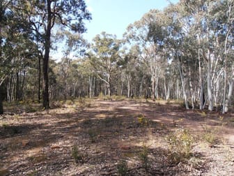 Lot 1 Wolgan Valley Road Wolgan Valley NSW 2790 - Image 1