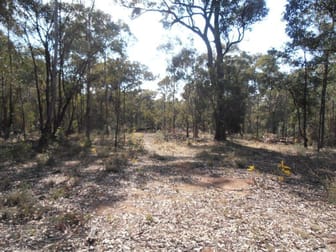 Lot 1 Wolgan Valley Road Wolgan Valley NSW 2790 - Image 2