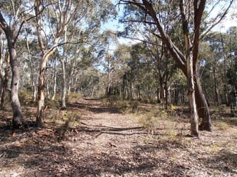 Lot 1 Wolgan Valley Road Wolgan Valley NSW 2790 - Image 3