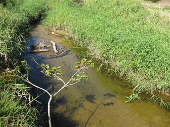 SILWOOD REGION El Arish QLD 4855 - Image 2