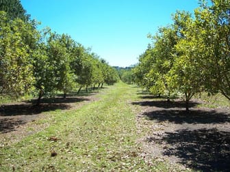 Lismore NSW 2480 - Image 3