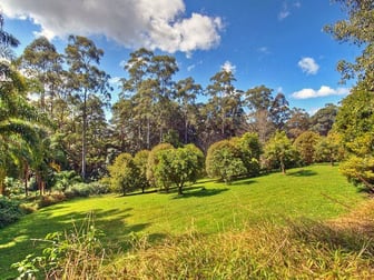 476 Wallace Rd The Channon NSW 2480 - Image 3