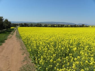 BackBlock Buchanans Road Wirrimah NSW 2803 - Image 3