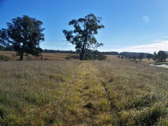 Lot 37 George Parade Portland NSW 2847 - Image 3