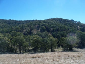 Lot 22 Coolamigal Road Portland NSW 2847 - Image 2