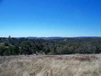 Lot 23 Coolamigal Road Portland NSW 2847 - Image 1