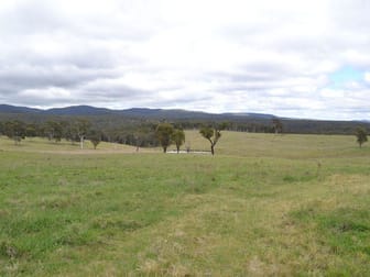 Lot 4 Wattlemount Road Portland NSW 2847 - Image 2