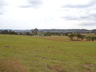 Lot 325 Cullen Bullen Road Portland NSW 2847 - Image 1