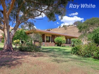 Click to view all images 205 Kurrajong Gap Road Bellbridge VIC 3691 - Image 3