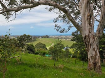 Central Tilba NSW 2546 - Image 1