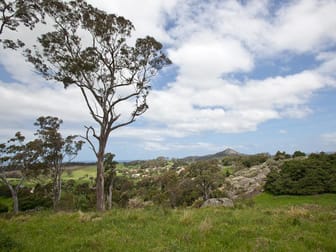 Central Tilba NSW 2546 - Image 3