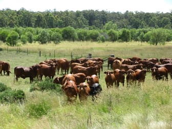 WELL WATERED, GOOD SHED, SMALL HOME Jandowae QLD 4410 - Image 1