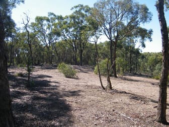 LOT 5 NEATES ROAD Campbells Creek VIC 3451 - Image 3