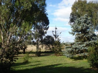 Kings Plains NSW 2799 - Image 3