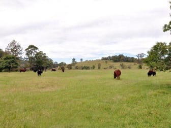4201 Great North Road Laguna NSW 2325 - Image 2