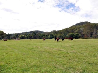 4201 Great North Road Laguna NSW 2325 - Image 3