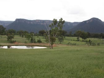 Lot 5 Wolgan Road Wolgan Valley NSW 2790 - Image 1