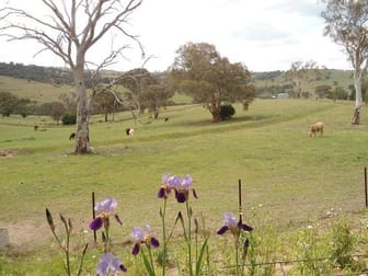 Bathurst NSW 2795 - Image 2