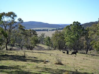 Lot 2 Sodwalls/Tarana Road Sodwalls NSW 2790 - Image 1