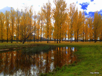 1866 Cooma Rd Braidwood NSW 2622 - Image 1