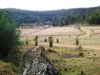 532 Yango Creek Road Wollombi NSW 2325 - Image 2