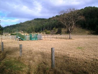 532 Yango Creek Road Wollombi NSW 2325 - Image 3