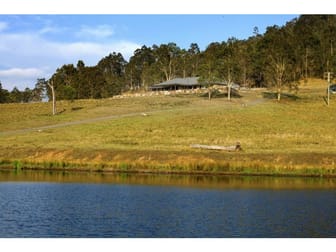1596 Maitland Vale Road Lambs Valley NSW 2335 - Image 1