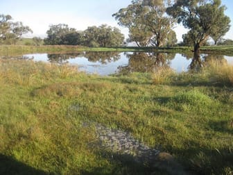 Cowra NSW 2794 - Image 2