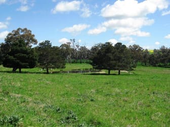 BOORINYA CHINAMANS ROAD Young NSW 2594 - Image 3