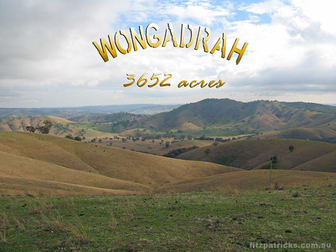 4098 Snowy Mountains Highway Mount Adrah NSW 2722 - Image 1