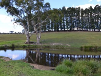 3700 Castlereagh Highway Eagle Park Ben Bullen NSW 2790 - Image 2