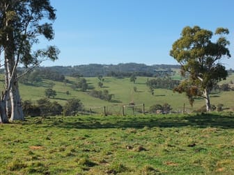 335 Curly Dick Road Meadow Flat NSW 2795 - Image 3