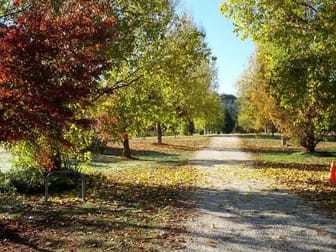 6300 Great Alpine Road Eurobin VIC 3739 - Image 3