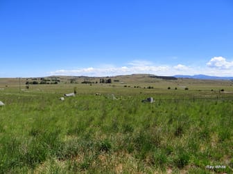 10315 Nerriga Road Braidwood NSW 2622 - Image 1