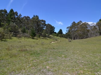 Lot 149 Willow Vale Lane Wallerawang NSW 2845 - Image 3