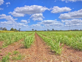 2207/2273 Wyrallah Rd Tuckurimba NSW 2480 - Image 1
