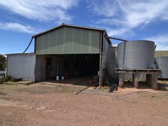 260 Curly Dick Road Meadow Flat NSW 2795 - Image 2
