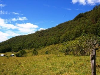 Lot 9 Lindsay Rd Larnook NSW 2480 - Image 3