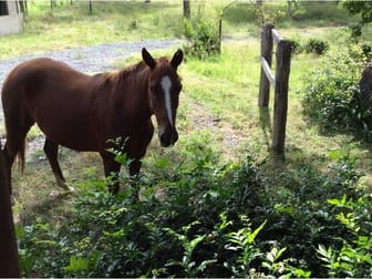Kyogle NSW 2474 - Image 1