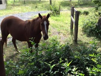 Click to view all images Kyogle NSW 2474 - Image 1