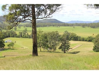 1332 Pipeclay Road Pipeclay NSW 2446 - Image 3